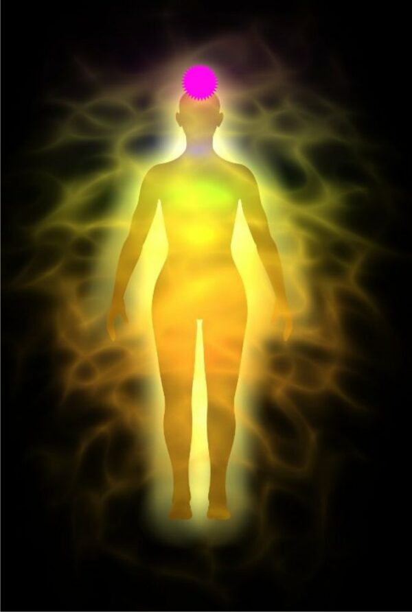 Chakra della corona